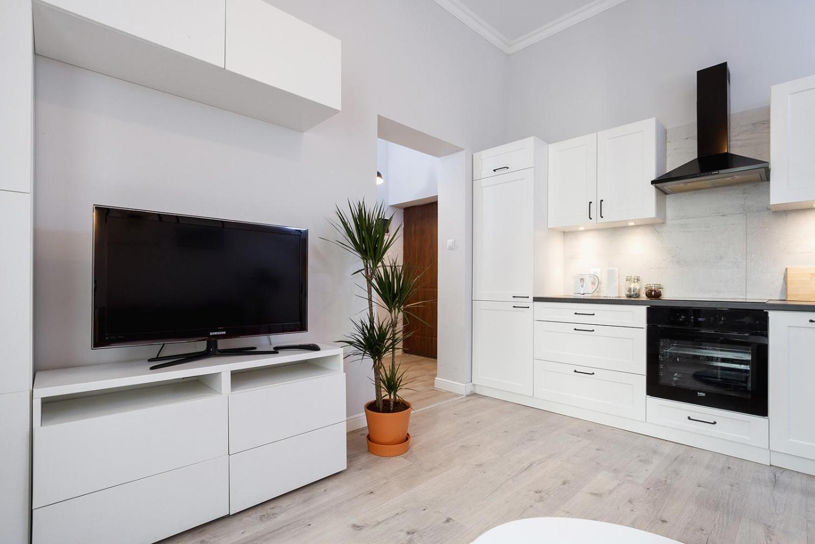 1 Bedroom - Kazimierz - Starowislna 36 Apartament *